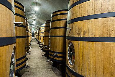 高难度动物拟人RPG游戏《安尼姆的无尽旅途》Steam页面上线 支持简体中文